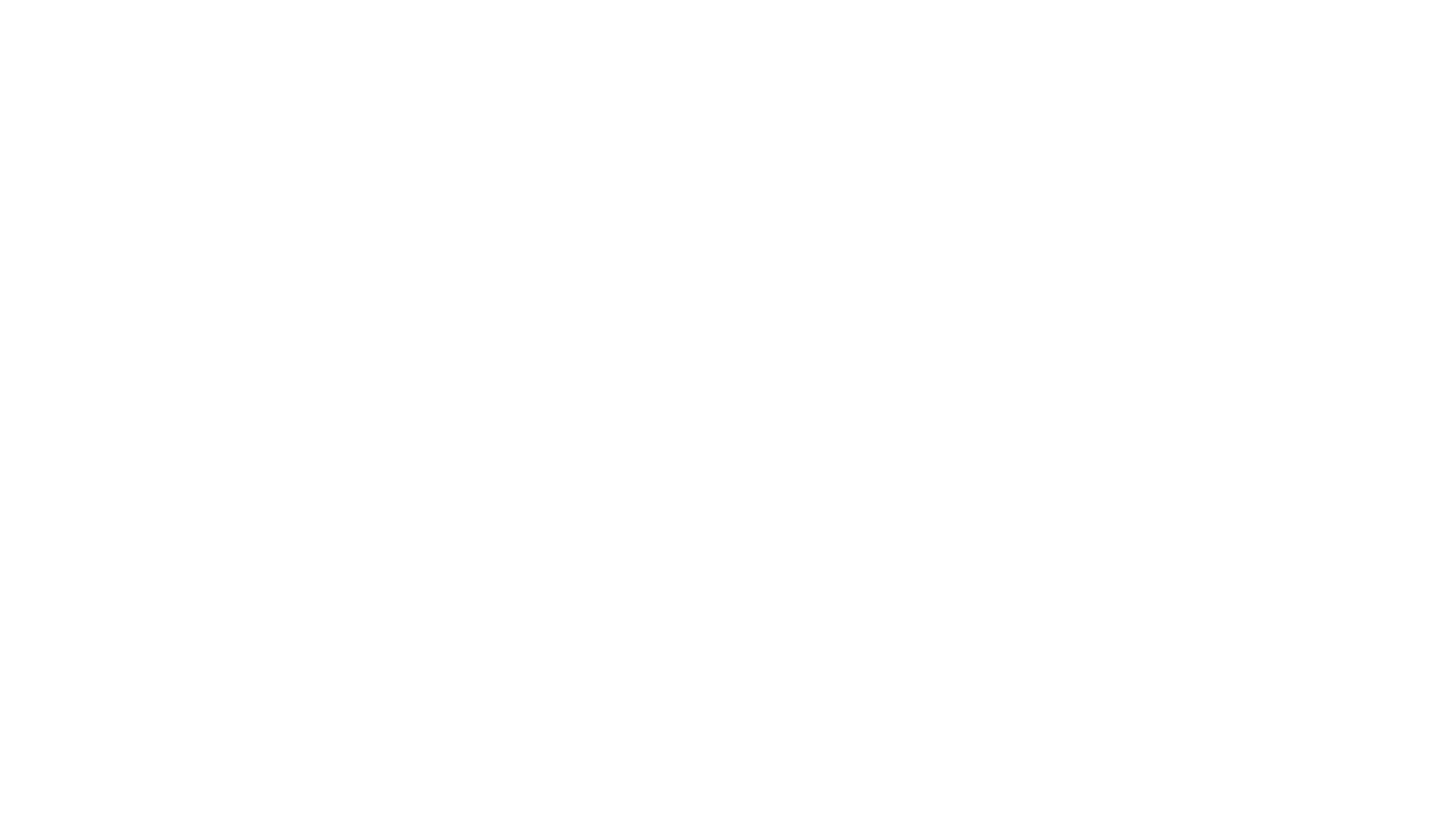 Neo Airsoft logo